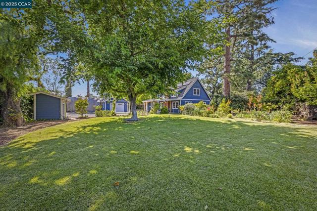 3505 Euclid Ave, Concord CA: https://media.crmls.org/mediaz/11538759-983e-4226-b2a8-1337be33a2de.jpg