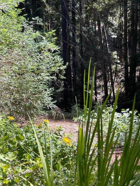 506 Sunset Road, Boulder Creek CA: https://media.crmls.org/mediaz/1153d7a7-151e-42bd-ba81-7602ec071104.jpg