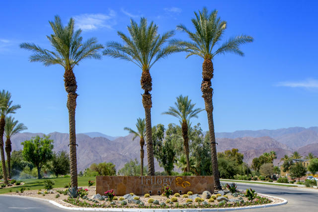 55_60306_Desert_Shadows_Dr55_mls