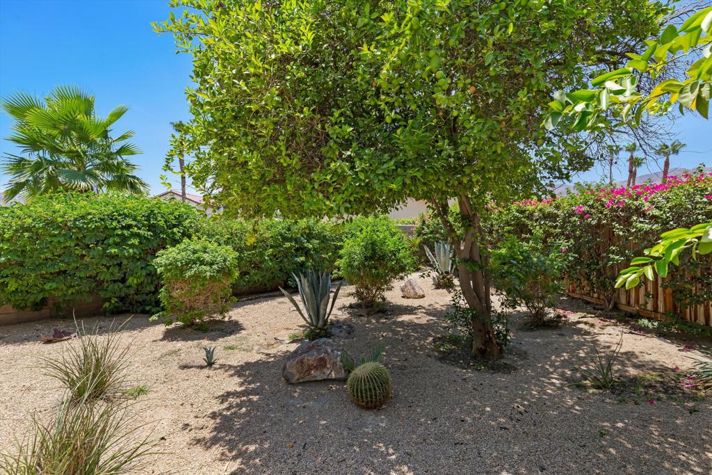 MLS #219149354DA image #23