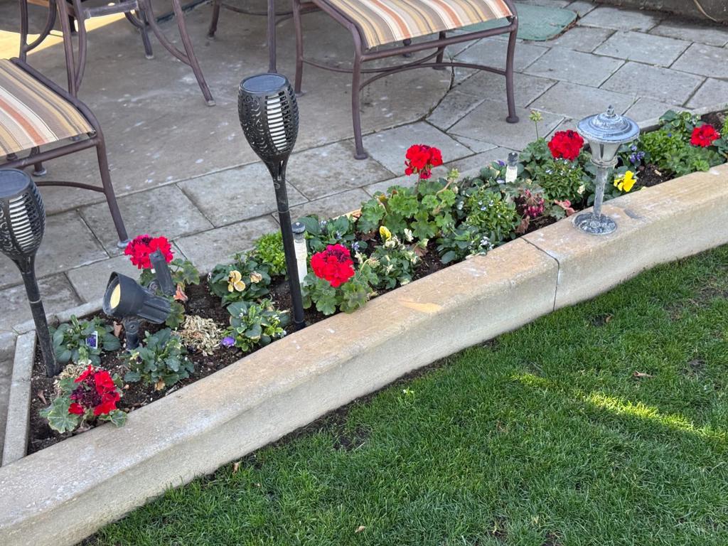 MLS #219138361DA image #1