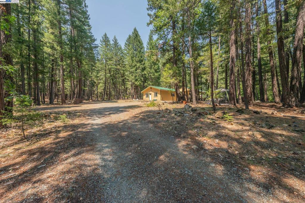 1371 Eagle Creek Loop Rd
