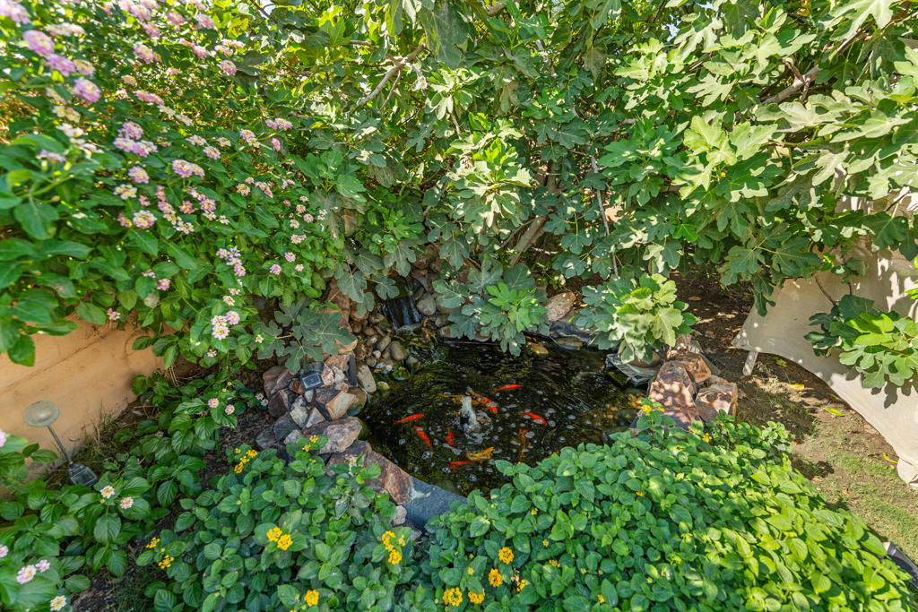 https://media.crmls.org/mediaz/1166564e-38b1-4e02-bd72-e6f8037f33d2.jpg?preset=X-Large