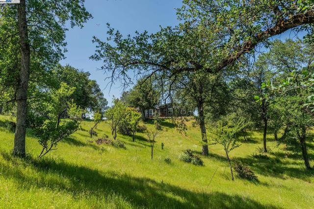 21679 Squaw Grass Trail, Redding CA: https://media.crmls.org/mediaz/1171487a-5007-429c-8d11-05465c0528df.jpg