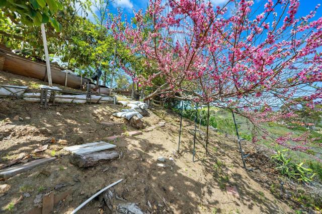 1367 Corona, Bonita CA: https://media.crmls.org/mediaz/1183959b-2167-4e01-9256-a14d86602132.jpg