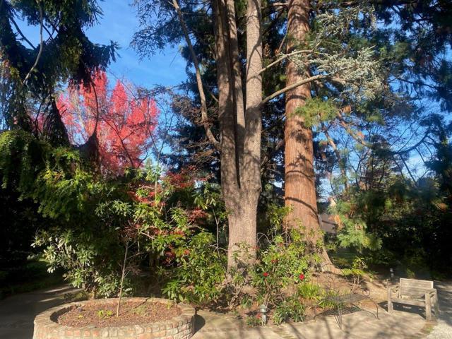 269 Selby Lane, Atherton CA: https://media.crmls.org/mediaz/1185d1d0-067f-4b61-a8fc-88c9453838c0.jpg