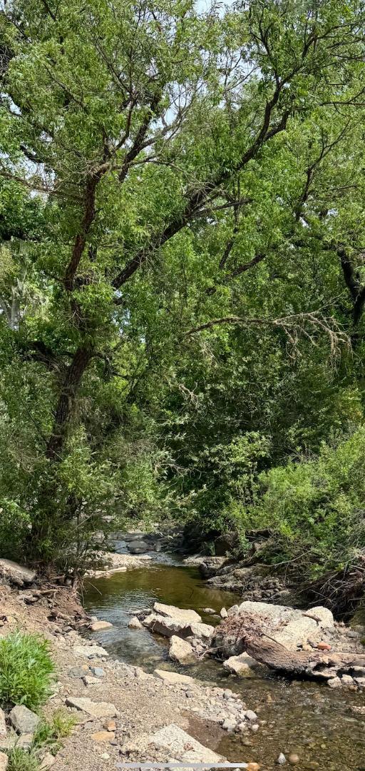 0 Uvas Road, Morgan Hill CA: https://media.crmls.org/mediaz/118afea3-03ff-4851-a93e-a55f64f0ffd4.jpg