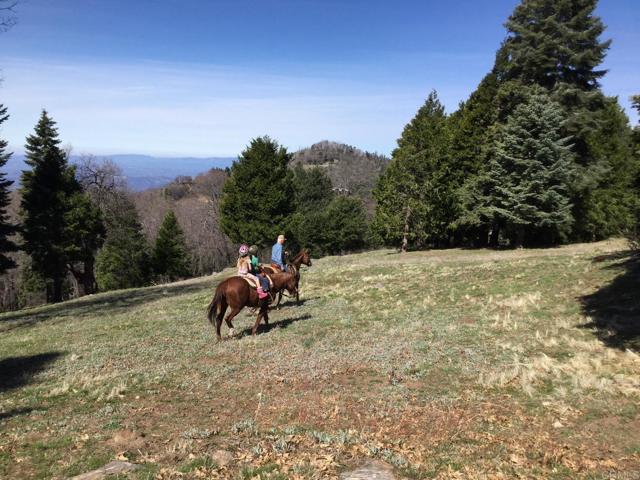 Detail Gallery Image 28 of 47 For 3413 Fern Meadow Rd, Palomar Mountain,  CA 92060 - 3 Beds | 3/1 Baths