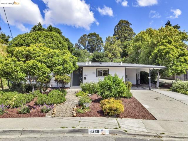 4369 Nelson DR, Richmond CA: https://media.crmls.org/mediaz/1192225f-caf7-4f51-84b9-355e47821d11.jpg