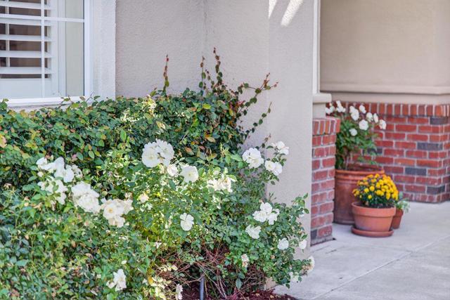 217 Augusta Lane, Aptos CA: https://media.crmls.org/mediaz/11bcdf6c-f2c9-4356-a2dc-39edc831ed17.jpg