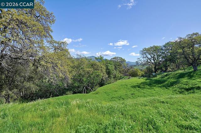 Image 45 of 59 For 539 High Eagle Ct