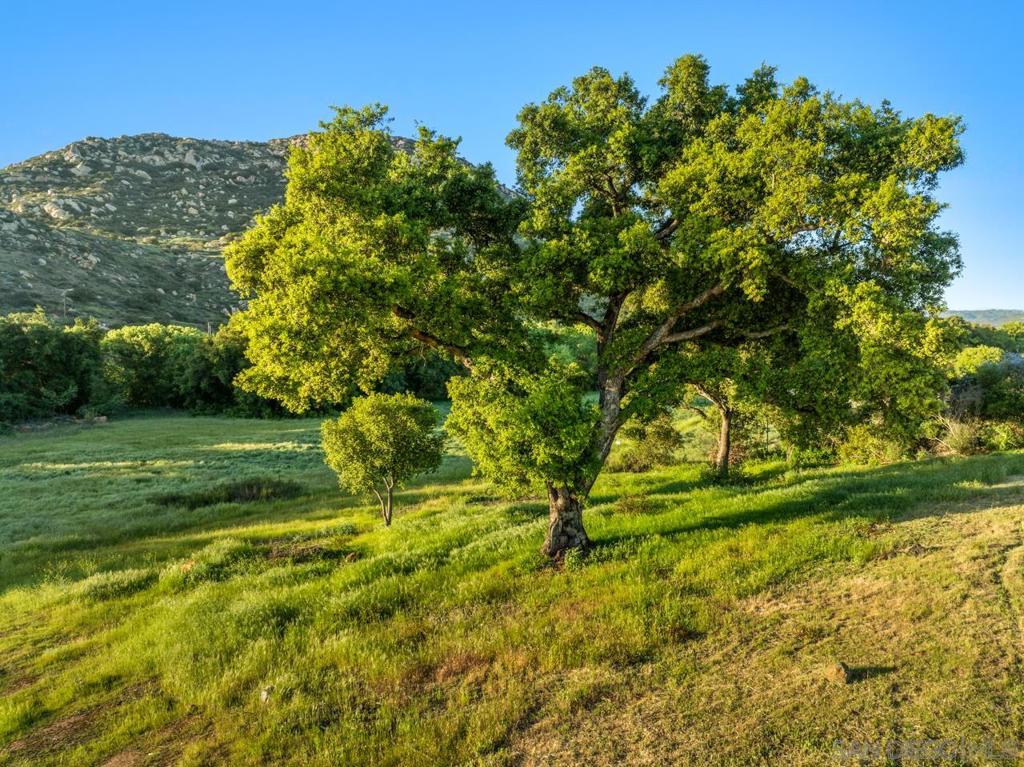 https://media.crmls.org/mediaz/11c70122-c738-45d5-9b4e-45046e72c3a9.jpg?preset=X-Large