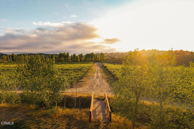 1700 Gypsy Canyon Road, Lompoc CA: https://media.crmls.org/mediaz/11cc6897-5e48-4a41-9f96-34fdf680d71e.jpg