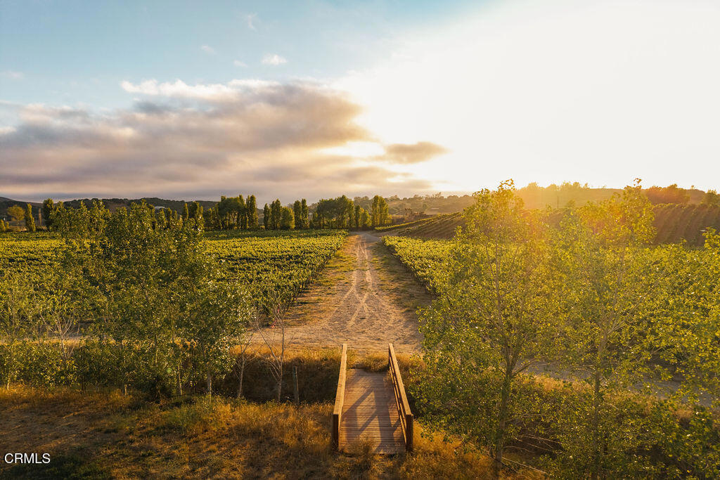 https://media.crmls.org/mediaz/11cc6897-5e48-4a41-9f96-34fdf680d71e.jpg?preset=X-Large