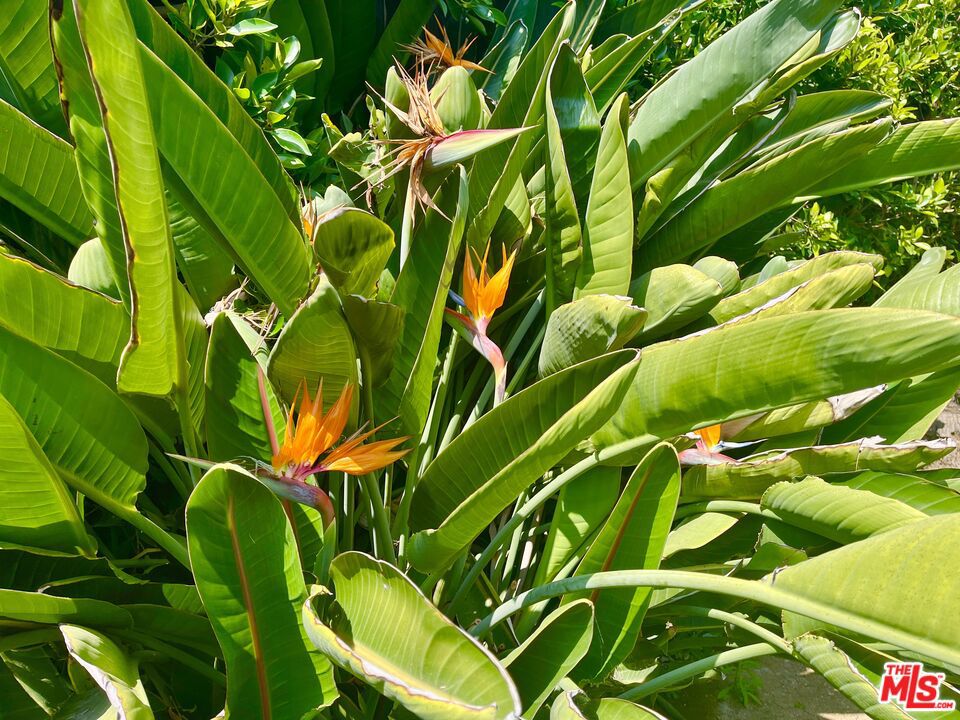 https://media.crmls.org/mediaz/11d2f007-6eb6-46d5-9005-16f7d99b79b5.jpg?preset=X-Large