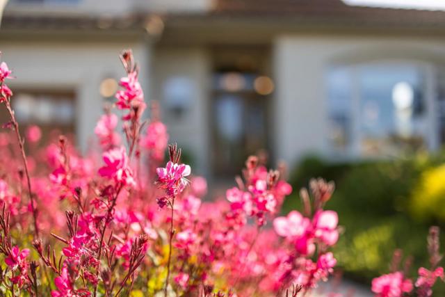 18425 Del Monte Avenue, Morgan Hill CA: https://media.crmls.org/mediaz/11d34637-dd48-4f20-ac35-7a6d50f659e9.jpg