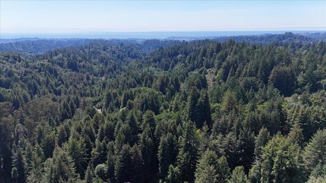 211 Hidden Lane, Santa Cruz CA: https://media.crmls.org/mediaz/11d6db61-d57a-494c-9fd9-3403c9118ab0.jpg