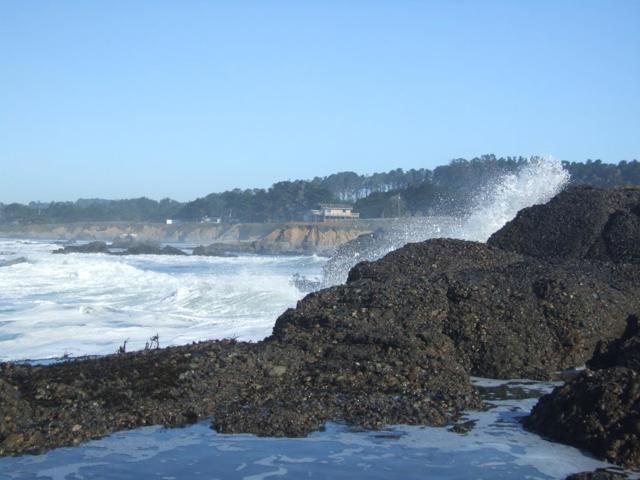 10247 Cabrillo Highway, Pescadero CA: https://media.crmls.org/mediaz/11d6e967-e988-4e05-990c-1337a4402286.jpg