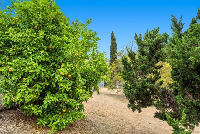 1973 Kinross Ct, Escondido CA: https://media.crmls.org/mediaz/11dd6450-9457-4525-a52e-e096acb122a1.jpg
