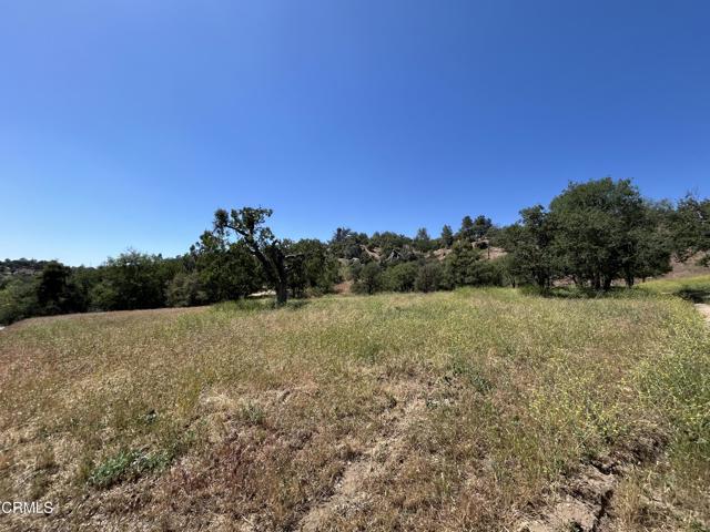 0 Jacks Hill Road, Tehachapi CA: https://media.crmls.org/mediaz/11de387d-7797-4634-aa9b-a14a00774822.jpg