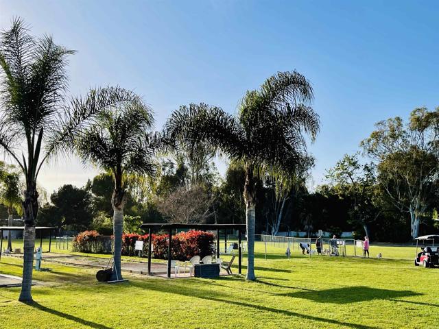 3445 Don Ortega Drive, Carlsbad CA: https://media.crmls.org/mediaz/11f3ff21-97b8-4712-b8ce-25869beacbf4.jpg