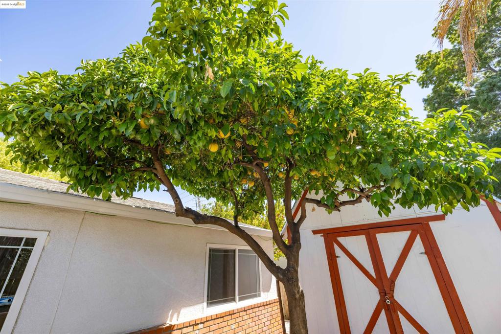 MLS #41116487 image #9