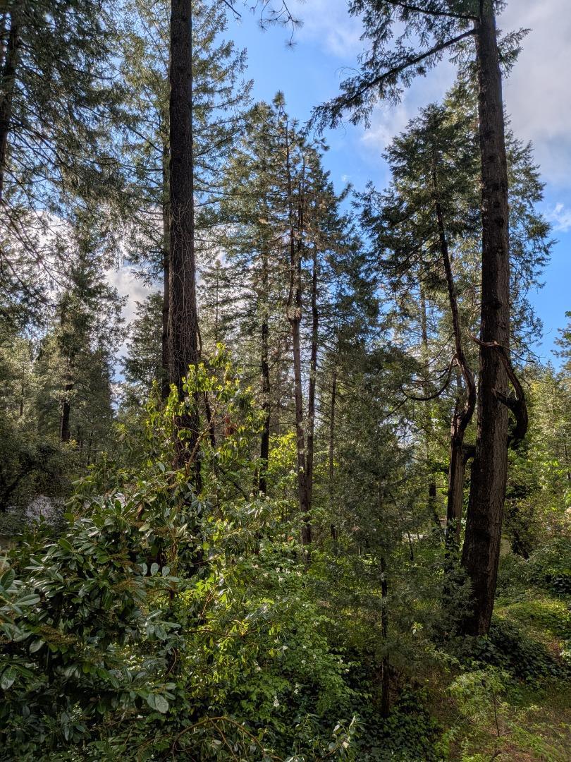 https://media.crmls.org/mediaz/11f79fa0-01c3-4f49-b474-c27d58235dc4.jpg?preset=X-Large