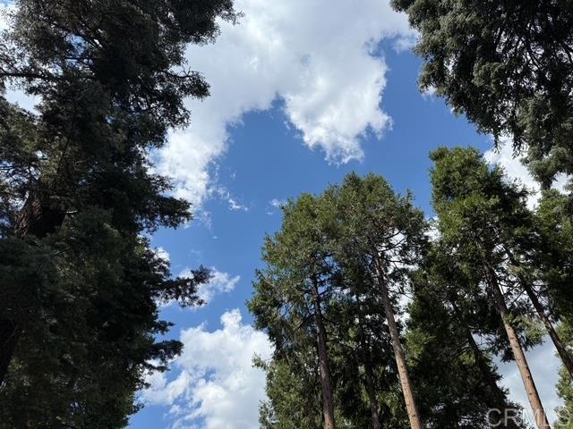 Detail Gallery Image 40 of 48 For 32811 Birch Hill Rd, Palomar Mountain,  CA 92060 - 2 Beds | 1 Baths