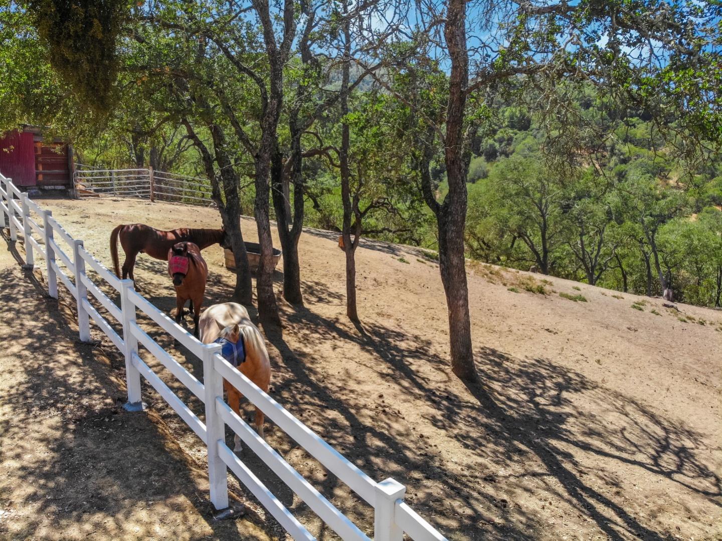 17465 Chesbro Lake Drive, Morgan Hill CA: https://media.crmls.org/mediaz/12178c77-702a-40f4-98fc-b0c5a0abc320