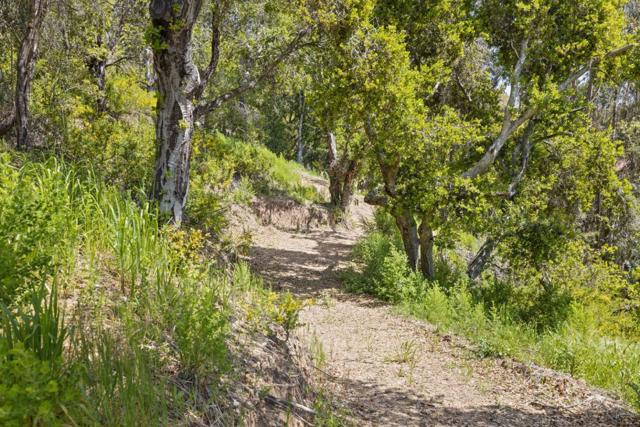 280 Petery Lane, Aptos CA: https://media.crmls.org/mediaz/12195647-4390-4619-a032-d1d5f95215db.jpg