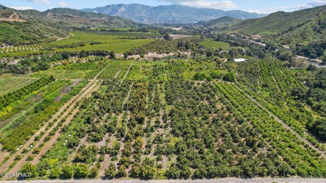 5682 Pine Grove Road, Santa Paula CA: https://media.crmls.org/mediaz/121a4a97-d097-42f5-9552-cb7f563ab39d.jpg