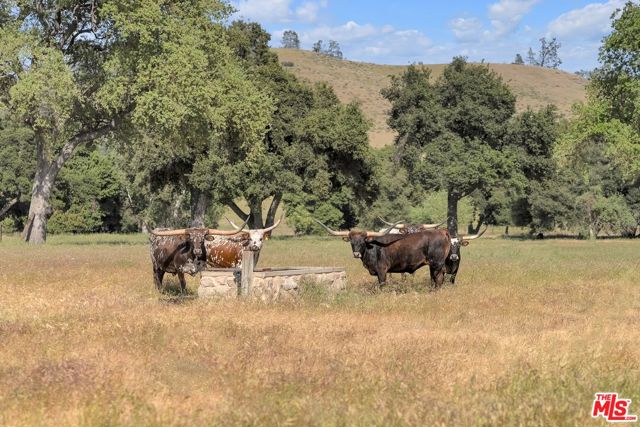 770 Limekiln Road, Hollister CA: https://media.crmls.org/mediaz/121ce35c-d7ae-44f4-864d-0ba44ab3bf28.jpg