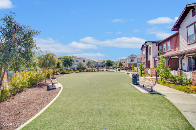 Community Grass Area