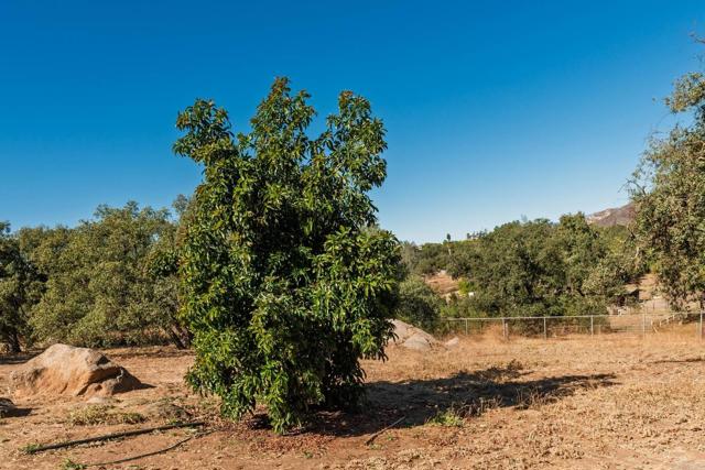 Detail Gallery Image 33 of 57 For 19010 Paradise Mountain Road, Valley Center,  CA 92082 - 3 Beds | 2 Baths