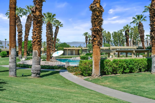 View from Poolside Patio