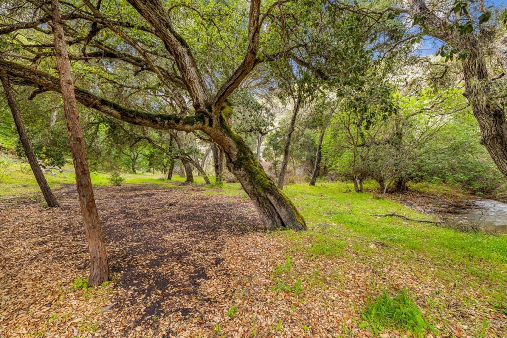 MLS #ML81998990 image #26