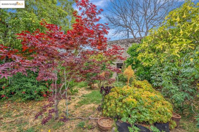 5537 Claremont Ave, Oakland CA: https://media.crmls.org/mediaz/124fff29-6166-4707-ad7b-af4bc362dfea.jpg