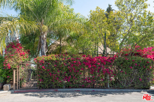 263 Lamont Drive, Los Angeles CA: https://media.crmls.org/mediaz/12524192-4b43-48d8-9449-e1bdd2ea3c08.jpg