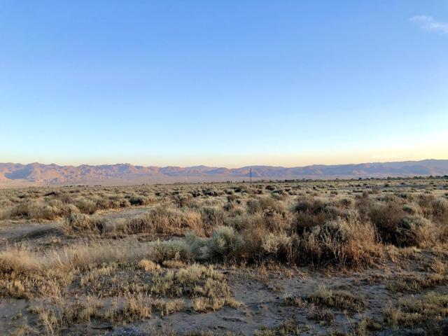 65225 Canterbury Street, Joshua Tree CA: https://media.crmls.org/mediaz/1258f68b-2fc3-4556-b20f-c73d38b0976c.jpg
