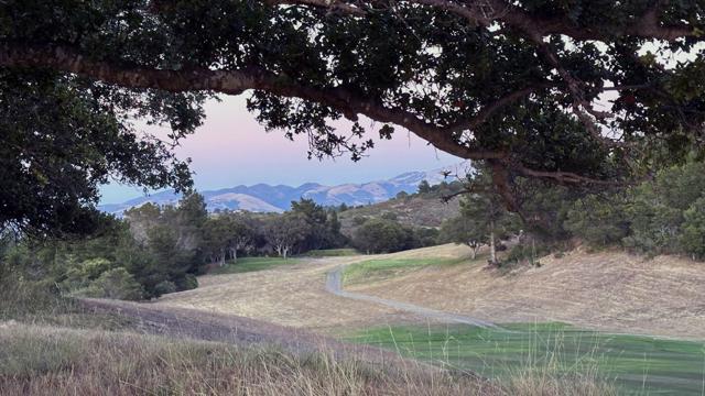 25520 Via Malpaso (Lot 92), Carmel CA: https://media.crmls.org/mediaz/125a734c-efb3-4467-9742-76c26dea3347.jpg