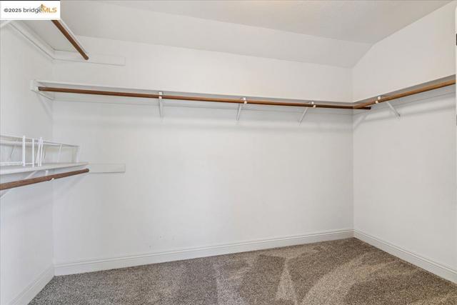 Spacious closet featuring carpet flooring and vaulted ceiling