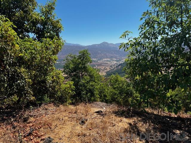 0 Pauma Heights Rd, Valley Center CA: https://media.crmls.org/mediaz/126f1b7e-bc2e-4715-bae0-78c6a3bd11e1.jpg