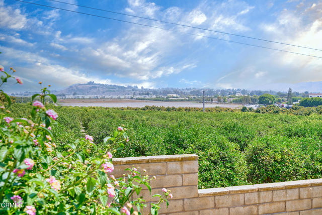 Detail Gallery Image 43 of 59 For 2713 Antonio Dr #110,  Camarillo,  CA 93010 - 2 Beds | 2 Baths
