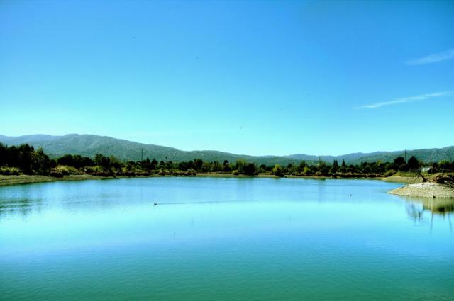 970 W Hedegard Avenue, Campbell CA: https://media.crmls.org/mediaz/128f98f7-06ad-4650-9aad-4c8d5a0df06e.jpg