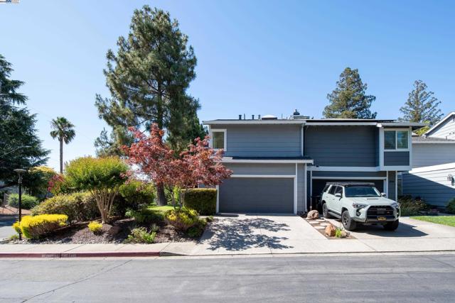 498 Via Royal, Walnut Creek CA: https://media.crmls.org/mediaz/1294996e-97b8-4654-8f95-31b8fa3c42ca.jpg
