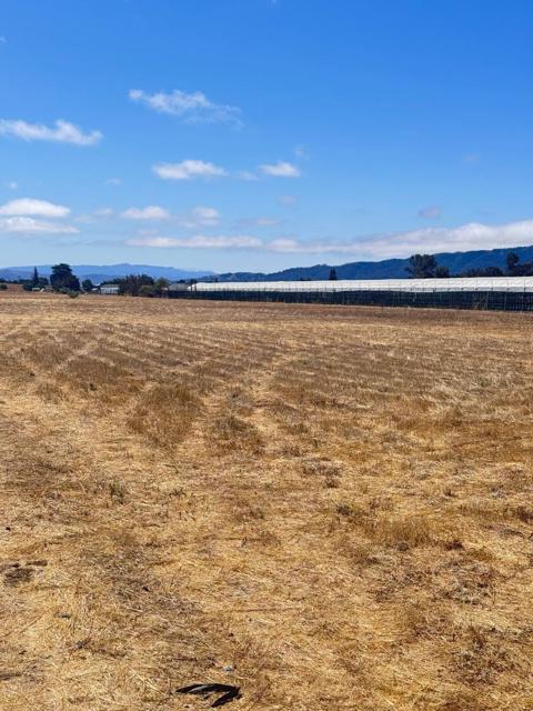 0 APN 835-07-018 and APN 835-07-019 Avenue, Gilroy CA: https://media.crmls.org/mediaz/12a52974-d60f-496f-abbc-f9a24842a934.jpg