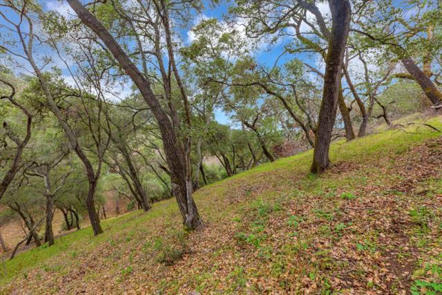 3005 Tohara Way, Morgan Hill CA: https://media.crmls.org/mediaz/12b574a0-3ab7-407f-bafd-82b69ff6d50f.jpg