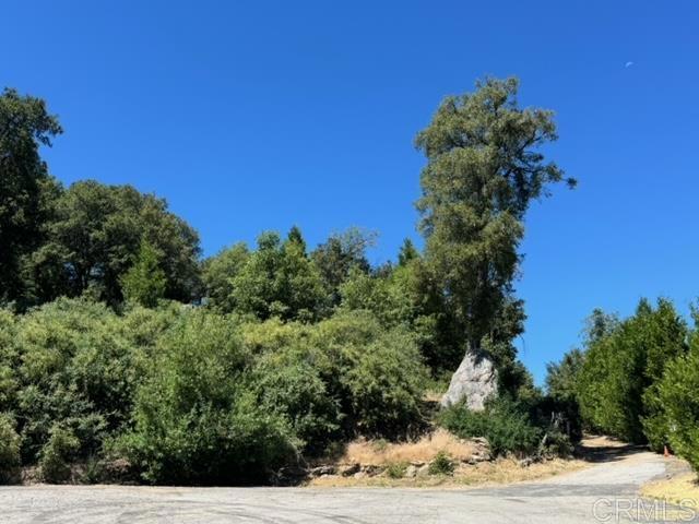 Detail Gallery Image 16 of 47 For 10 Acres Greenfield Way, Palomar Mountain,  CA 92060 - – Beds | – Baths