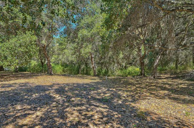 27765 Mesa Del Toro Road, Salinas CA: https://media.crmls.org/mediaz/12c3e1f6-55e7-4fbe-8b92-23a39c162cfe.jpg