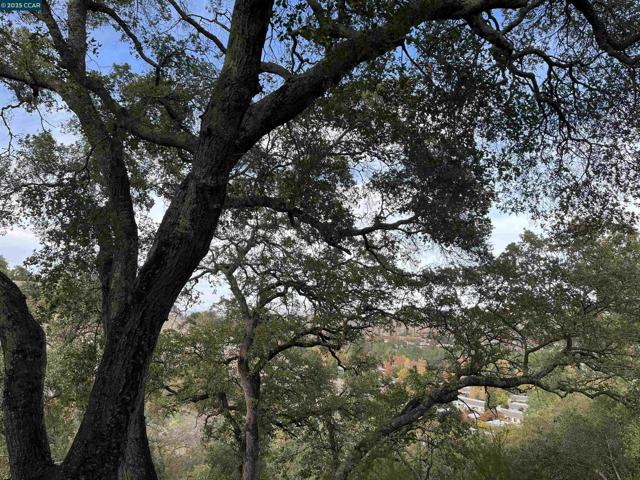 3120 Ptarmigan Dr., Walnut Creek CA: https://media.crmls.org/mediaz/12c8a966-a4e3-4ced-a2b7-767324d8d5b9.jpg